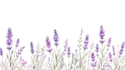 A tender watercolor lavender flowers border featuring delicate purple blossoms, soft wildflower stems, and airy botanical details illustrated in a graceful natural floral style. © liana