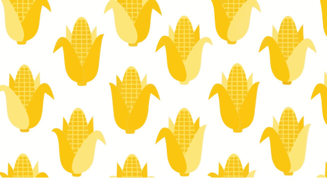 Seamless Corn Pattern - Yellow Harvest Design Element