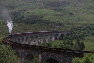 Naklejka premium Jacobites train on Glenfinnan viaduct 