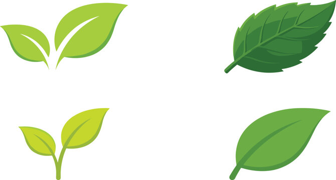 Green leaves and organic sprouts collection featuring fresh mint foliage environmental icons and nature design elements vector illustration