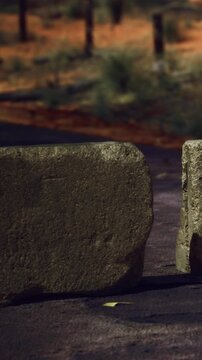 Two large rocks sit close together on a pathway in a forest. The ground is dry with some grass visible. Sunlight shines through the trees, creating shadows on the path.