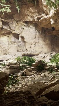 The scene shows a rock formation in a canyon. Sunlight enters the area, revealing plants and rocks scattered on the ground. The canyon walls are steep and rugged.