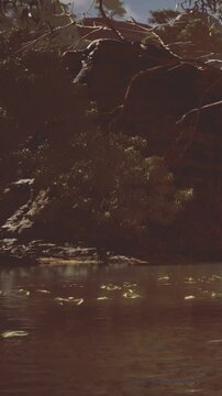 A body of water sits at the base of a rocky cliff. Sunlight shines on the water, making it sparkle. Surrounding trees add a natural touch to the scene during the day.