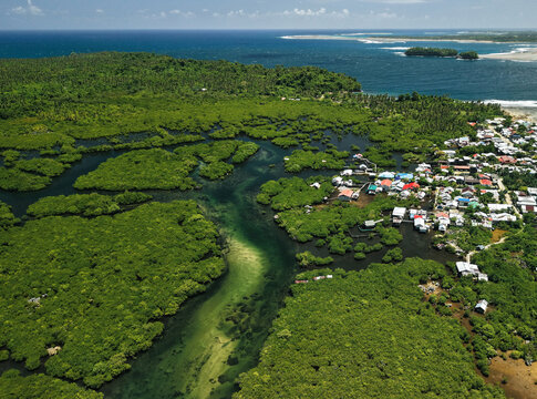 Del Carmen Mangrove Forests in Siargao Island, Surigao del Norte, is the largest contiguous mangrove forest in the Philippines
