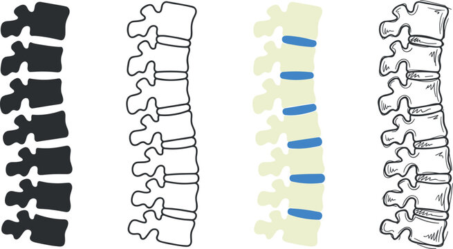 Set of human spine vertebrae icons, side view of spinal column bones isolated on white background vector illustration on transparent background