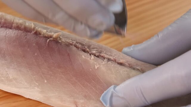 A detailed close-up shot of a professional chef wearing light blue gloves carefully using tweezers to extract delicate pin bones from a fresh, raw Hamachi (Japanese Yellowtail) fillet. The footage cap