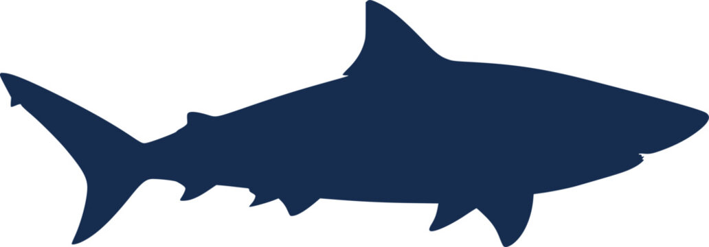 shark silhouette on white background  - Stock Vector 