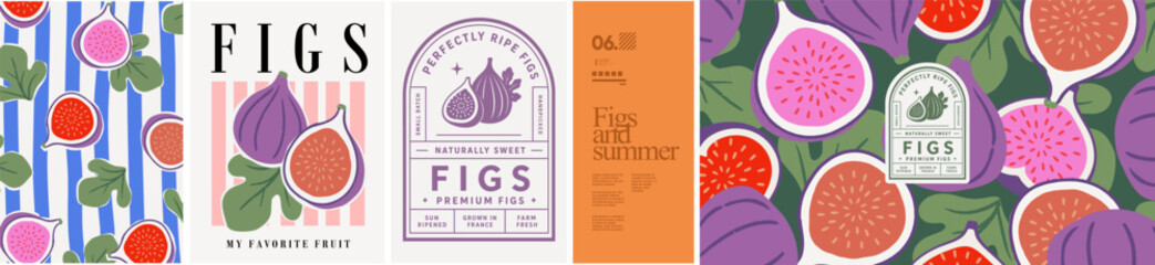 Fototapeta premium Figs and summer. Vector modern trendy illustration of fruit and leaves, striped pattern, textile or fabric ornament, print, vintage logo for background, packaging, label, or poster