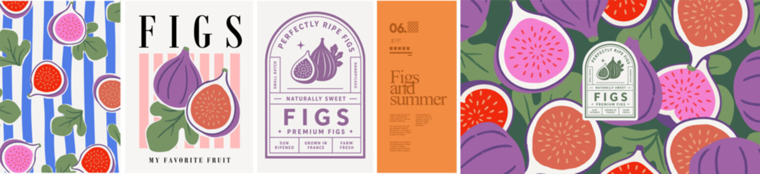 Figs and summer. Vector modern trendy illustration of fruit and leaves, striped pattern, textile or fabric ornament, print, vintage logo for background, packaging, label, or poster