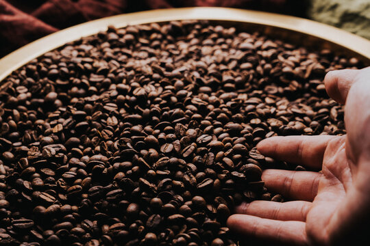 Granos de caf&eacute; reci&eacute;n tostados sobre charola dorada.