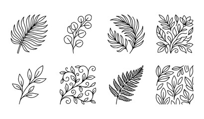 Linear leaf outline vector set with decorative botanical foliage and elegant plant patterns © Md