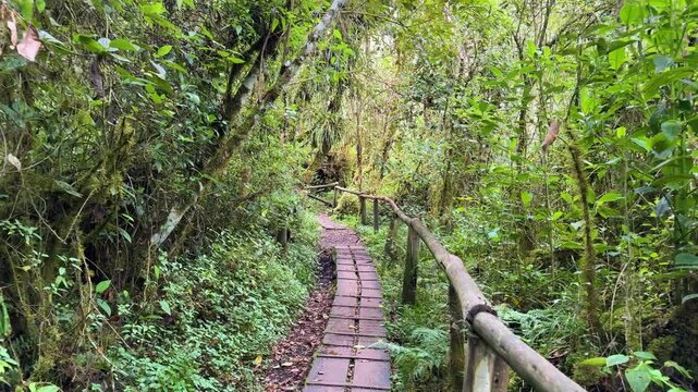 Beautiful National Park of Cajas in Cuenca, Ecuador