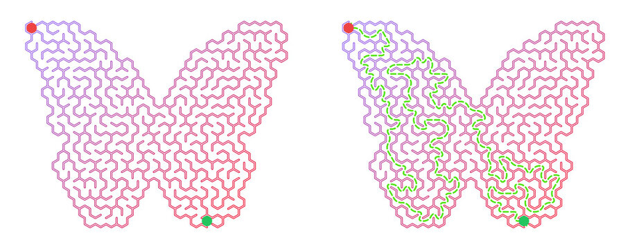 Butterfly shaped maze with highlighted solution path, concept of logical thinking, puzzle solving and cognitive skill development
