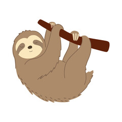 Fototapeta premium Cute smiling sloth hanging on a branch