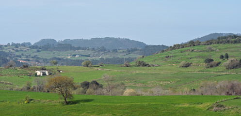 Fototapeta premium Rolling Green Countryside with Hills and Rural Farmland