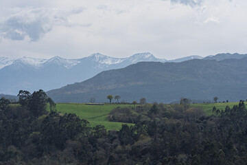 Fototapeta premium Snowy Mountain Peaks Above Green Hills and Forest