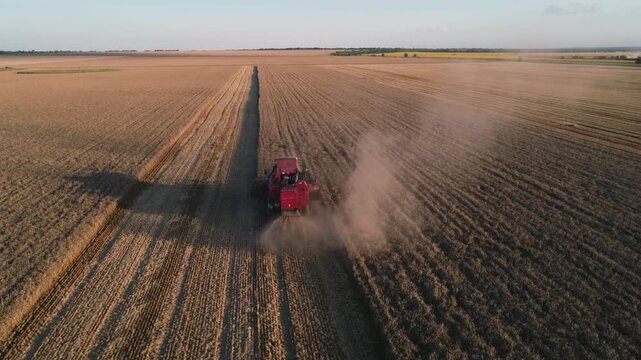 Red combine harvester cutting wheat in a vast field. Dust rises as the machine moves through golden crop rows at sunset. Aerial view shows endless agricultural farmland stretching to the horizon.