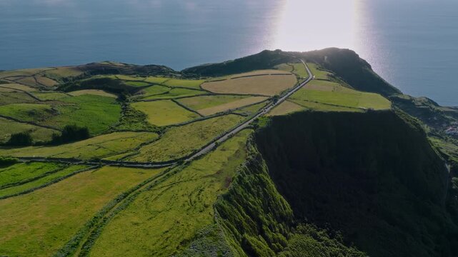 Aerial drone high-altitude wide shot of a road winding along a dramatic green cliff edge above the Atlantic Ocean, with vibrant blue hydrangea hedges and agricultural pastures, Flores Island, Azores