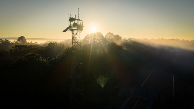 Forest monitoring tower rises through morning fog with solar panels and cameras in rural woodland.