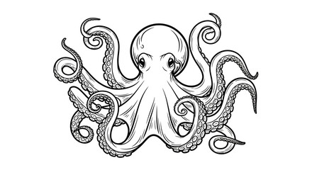 Octopus illustration, black and white line drawing, marine animal, sea creature, tentacles © irfan