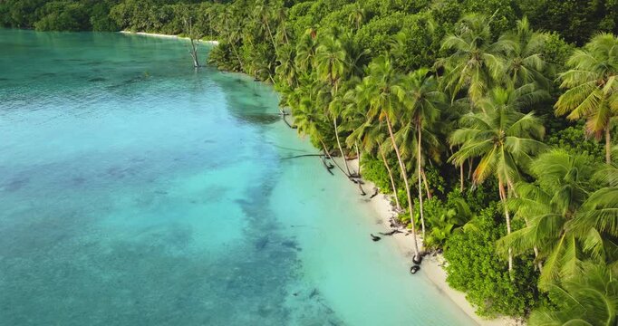 Tropical paradise scene featuring a pristine white sand beach lined with lush green palm trees and clear turquoise water, capturing the untouched beauty of a remote South Pacific destination
