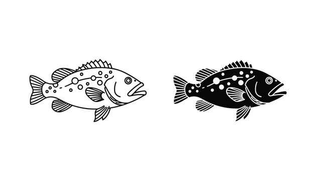 Spotted grouper fish vector illustration set with detailed line art and solid black icon styles for marine biology education or seafood restaurant branding