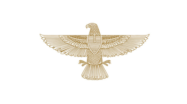Golden eagle illustration with outspread wings on white background