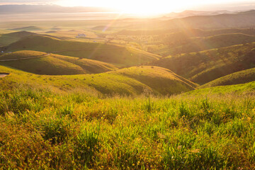 Fototapeta premium Mountains meadow