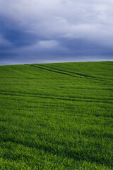 Fototapeta premium Cinematic footage of rolling green farmland beneath dark storm clouds with dramatic natural light creating a moody rural atmosphere. 