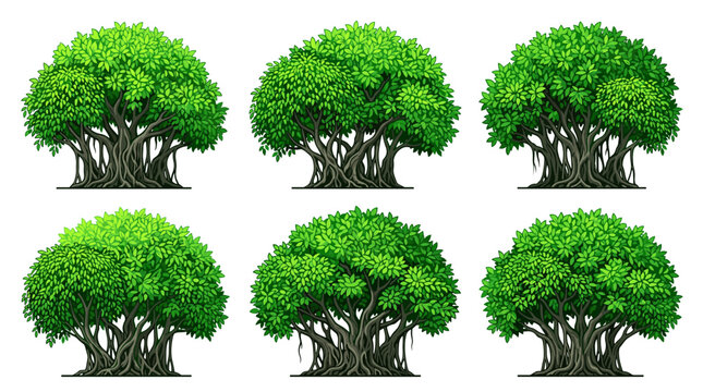 Collection of six large banyan trees with lush green foliage and intricate aerial root systems isolated on white background