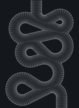 Monochrome illustration of coiling intestine with scale texture