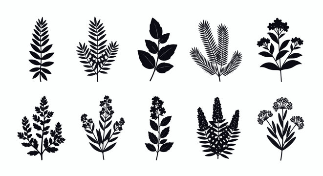 Flat black aromatic plant icon isolated on white background, stylized herb vector graphic, organic botanical leaf silhouette for cooking or aromatherapy branding design element.
