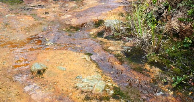 Mineralized stream running through the crater of Pululahua Volcano, near Quito, Ecuador. Has not erupted in 2,000 years, but these eruptions were devastating