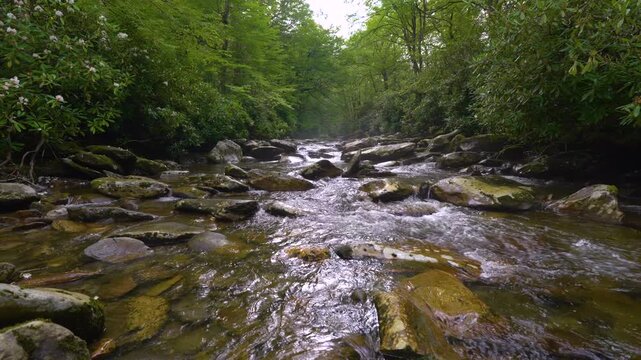 Beautiful waterfall pouring down a rocky cliff in shaded woodland valley, surrounded by lush foliage, humid rainforest atmosphere and fresh mountain nature.