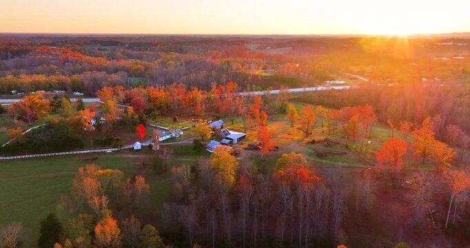 Spacious rural houses among yellow fall foliage in South Carolina suburbs. Beauty of seasonal colors in quiet countryside aria.