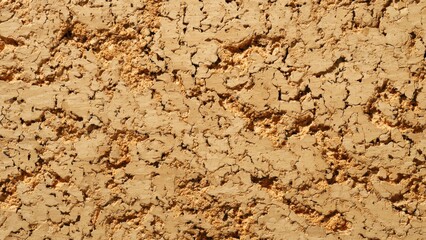 Fototapeta premium Cracked Desert Soil Texture