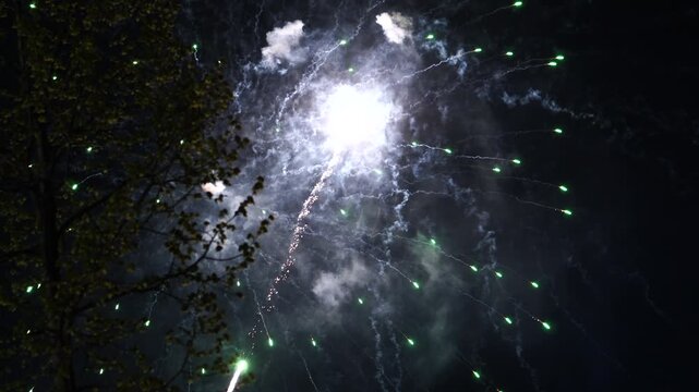 Fireworks exploding in the sky