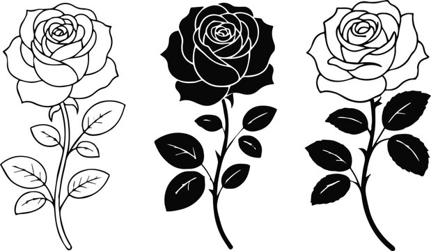 rose vector trio stylized rose illustrations line art set for print