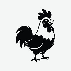 Black rooster standing on white background © MdGolam