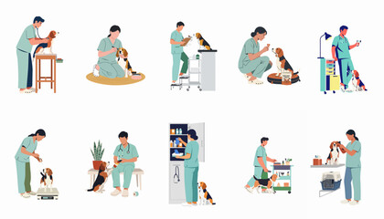 Fototapeta premium Comprehensive set of flat vector illustrations showing veterinarians providing medical care, grooming, and health checkups for beagle dogs in a veterinary clinic.