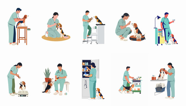 Comprehensive set of flat vector illustrations showing veterinarians providing medical care, grooming, and health checkups for beagle dogs in a veterinary clinic.