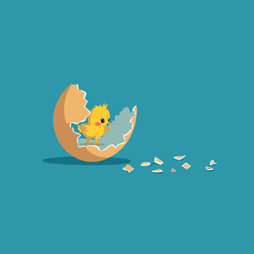 Cute yellow chick emerging from cracked eggshell with scattered pieces
