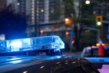 Close up of police car emergency lights at night. © Erman Gunes