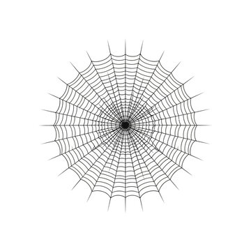 Dense circular spider web illustration for spooky themes.