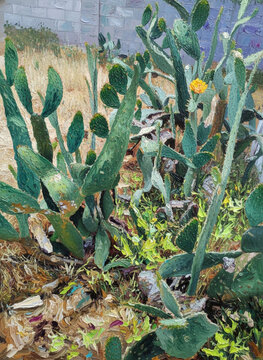 Many Cactuses