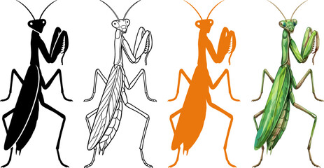Praying Mantis Vector Element Set with Black Silhouette Outline Orange Shape and Realistic Green Insect Illustrations for Entomology Graphic Designs © MdMunzurul