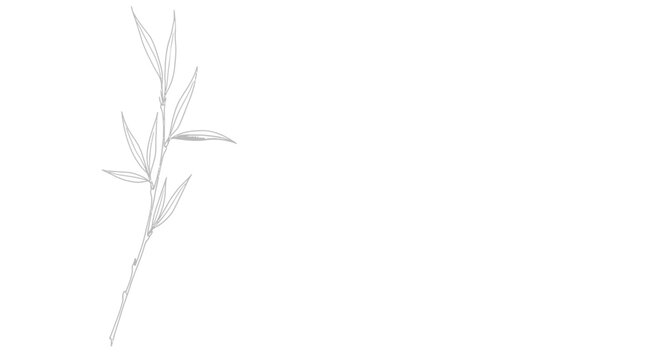 Minimalist line art drawing of a leafy plant branch, elegant and organic, isolated white background.