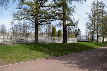 Fototapeta premium Gardens of Catherine Palace showcasing lush green lawns, tall trees, and neatly trimmed hedges against a bright blue sky in Tsarskoye Selo