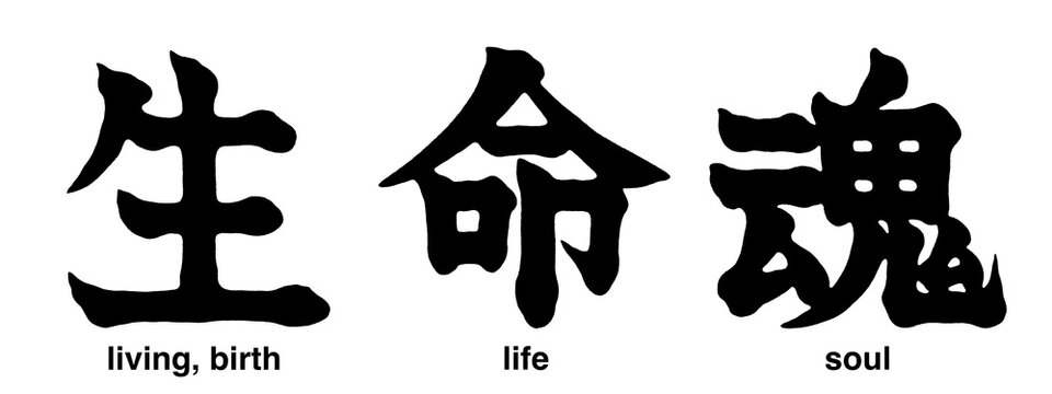 Japanese kanji characters for soul, life, birth and living isolated on transparent background, calligraphy art