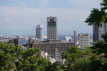 Obraz premium Kobe Port Tower and cityscape framed by green trees